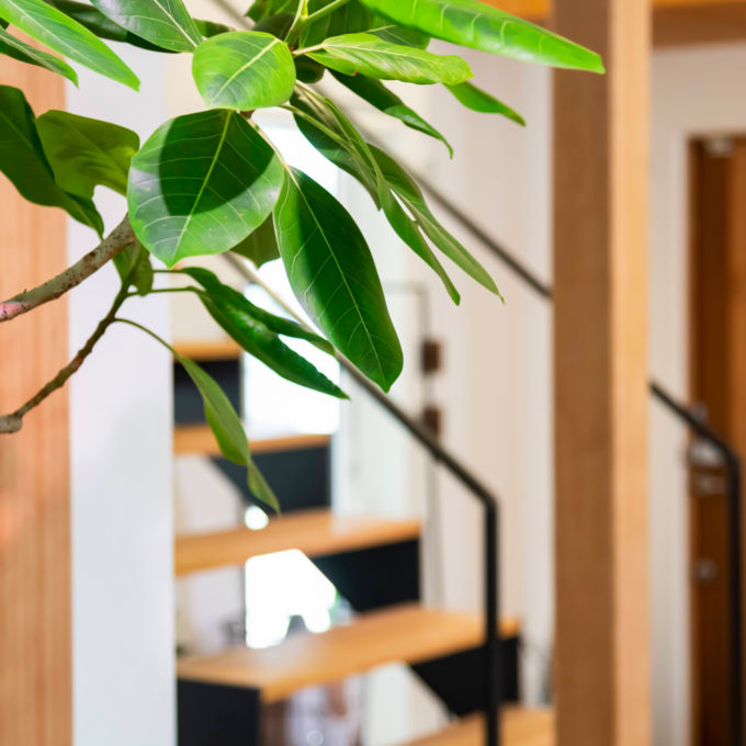 ご紹介特典のお知らせ