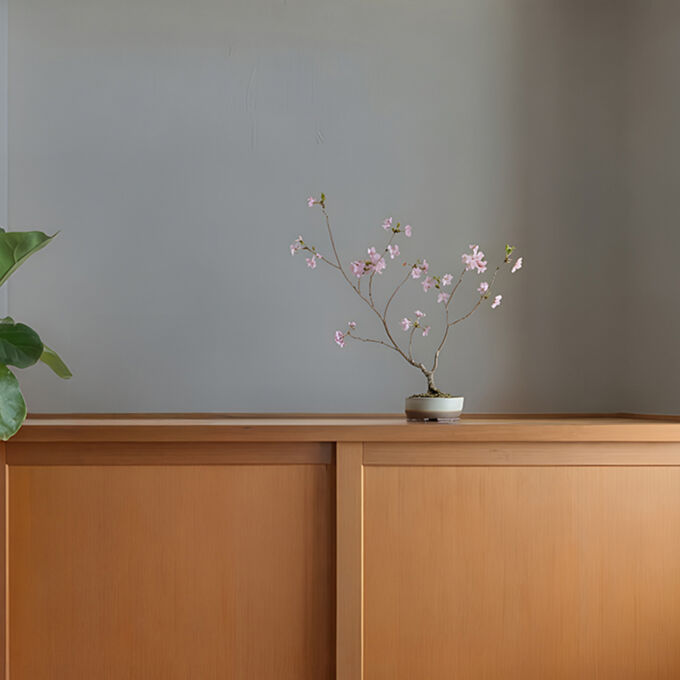 ワークショップ開催｜桜の盆栽づくり